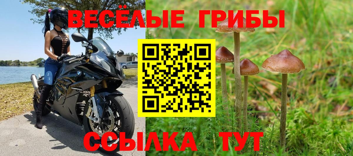 Находка  Галлюциногенные грибы Cubensis  Вход с VPN  Галлюциногенные грибы мухоморы 